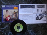 1985 Pictures in the Dark / Legend A-107850 PROMO + INFO SHEET.