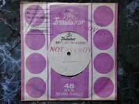 1968 The SallyAngie: Love In Ice Crystals / Chamaleon ACETATE.