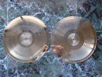 1979 Platinum 201206-320 Metal Master Plates.
