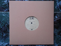 1968 The SallyAngie: Love For All Seasons / Chamaleon / Love In Ice Crystals ACETATE 10''.