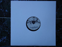1982 Taurus II ACETATE 10''.